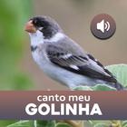 Canto Me Golinha-icoon