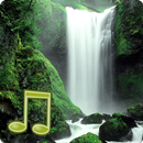 Parece Cachoeira APK