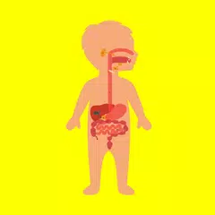 download Learning body parts for kids offline flashcards XAPK