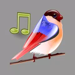 鳥の音