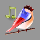 ikon Birds Sounds