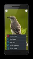 Birds Sounds Relax and Sleep 截图 3