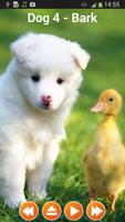 Dog Sounds imagem de tela 2