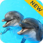 Dolphin Sounds أيقونة