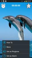 Dolphin Sounds screenshot 1