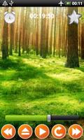 Forest Sounds Nature To Sleep تصوير الشاشة 3