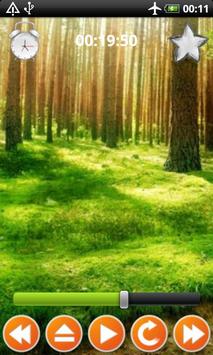 Forest Sounds Nature To Sleep 截图 3