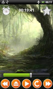 Forest Sounds Nature To Sleep 截图 4