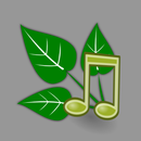 Sons da natureza relaxar APK