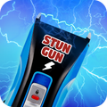 Simulator of Stun Gun