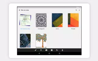 Notebook captura de pantalla 5