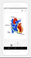 برنامه‌نما Notebook عکس از صفحه