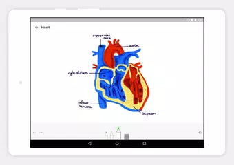 Notebook - メモ・ノート・タスク アプリダウンロード