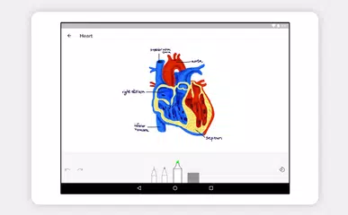 Notebook - 記下記事，同步 XAPK 下載
