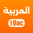 اللغة العربية أولى باك 2025