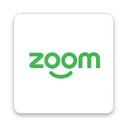 Zoom Business icône