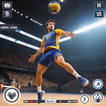 ”Volleyball Game 3D Sports Game