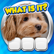 ”Guess it! Zoom Pic Trivia Game