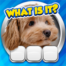 APK Guess it! Zoom Pic Trivia Game