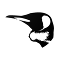 Save The Penguins!