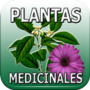 Plantas y Frutas Medicinales APK