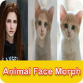Zoo Animal Face Morph – Animal