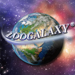 Animales. Zoogalaxy