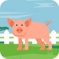 Zoo Hero