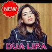 Dua Lipa Songs - Offline Music and Lyrics APK