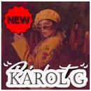 Karol G Música Sin Internet | 2021 APK