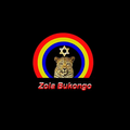 Rádio Zola BuKongo