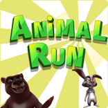 Animal Run