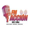 Fm Accion 103.1