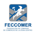 Radio Tv FECCOMER