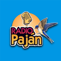 Radio Pajan