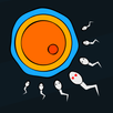 Sperm Simulator APK