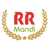 RR Mandi आइकन