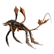 Kraken 3D আইকন