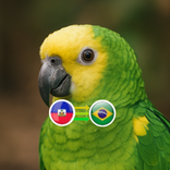 JAKO IA - Falar português