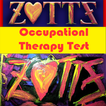 Autism Occupational Therapy OT