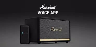 Marshall Voice
