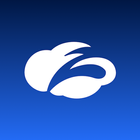 Zscaler Executive Insights Zeichen