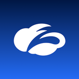 Zscaler Executive Insights