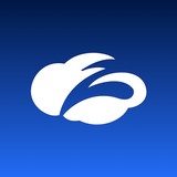 Zscaler Executive Insights Zeichen
