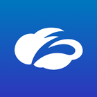 Zscaler Executive Insights Zeichen