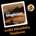 lirik sholawat mughrom