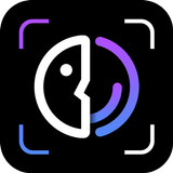 FaceFancy-AI face swap videos APK