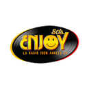 Radio Enjoy 80's APK
