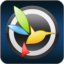 BlackVue Legacy APK