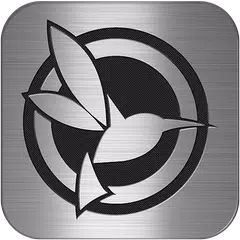 download BlackVue Sport APK